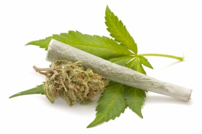 article image - 